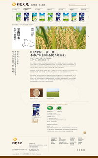 新荊楚大地 傳承與創新的網頁設計之道